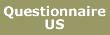 US Questionnaire