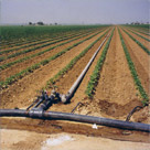 LandingInset2